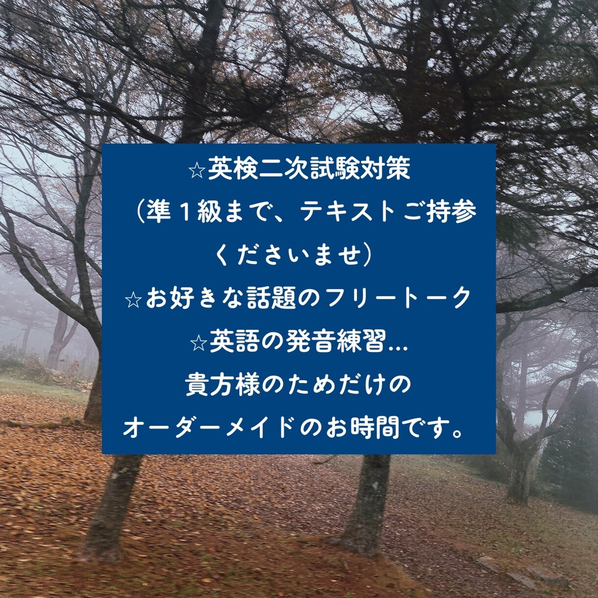 初心者様歓迎。貴方だけのオーダーメイド英会話します 好きなお題で格安！貴方様のための英会話フリートーク！英検も。 イメージ6