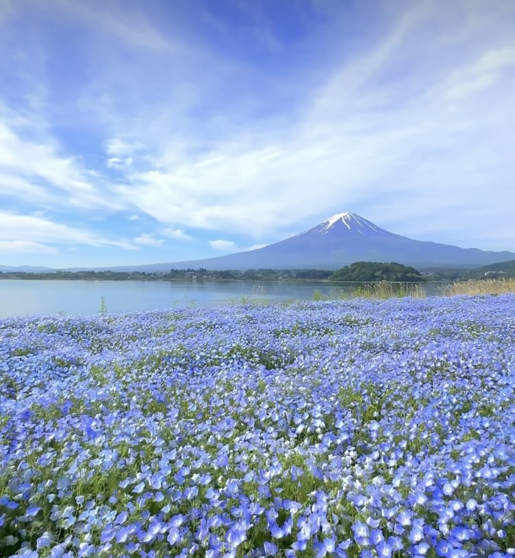 不安やモヤモヤ解消♪チャット鑑定します 毎日の悩みは尽きないもの。タロットから見るあなたの未来♡ イメージ4