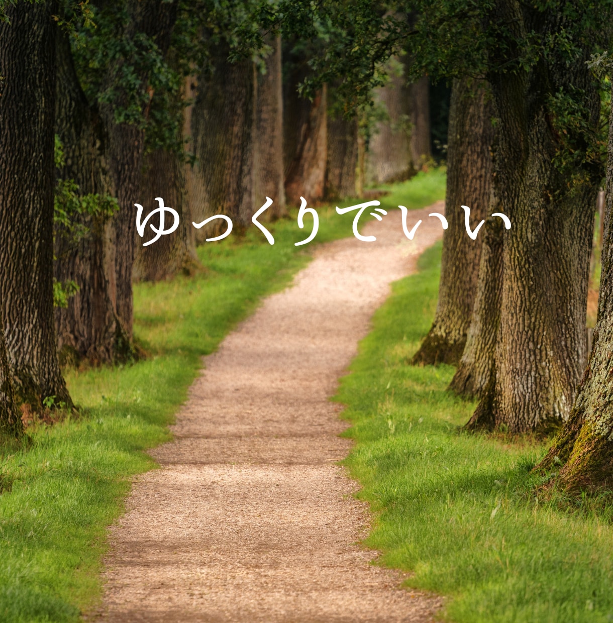 気を遣いすぎて疲れた心に安心できる居場所を作ります ⭐︎ほんの小さなことが大きな悩みに変わってしまう前に⭐︎ イメージ10
