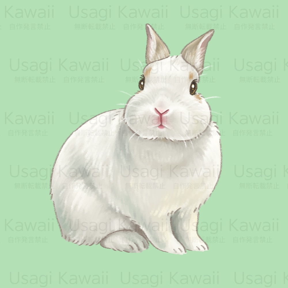 ペットさんの似顔絵をお描きします 大切なペットさんのお写真をもとに似顔絵をお描きいたします。 イメージ2