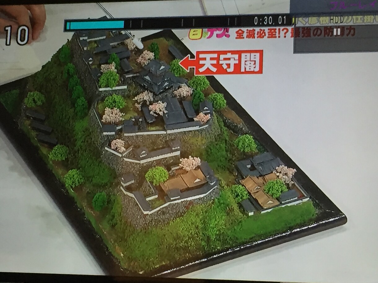 お城のジオラマ模型を番組企画に合わせて製作します ★テレビ番組、報道、CM、イベントなどに イメージ6