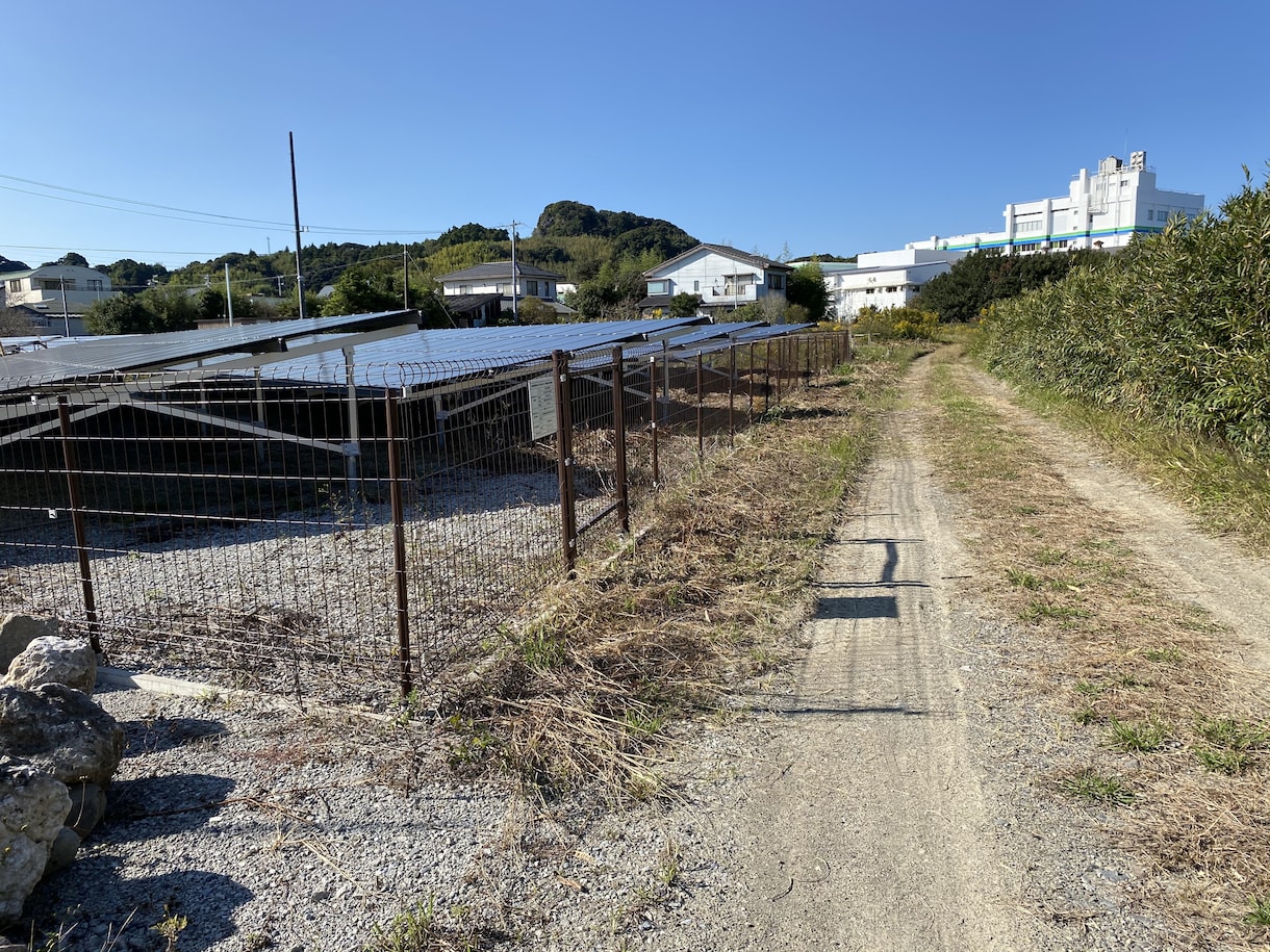 産業用太陽光発電所の除草を行います 元野立て太陽光開発担当者が行う、除草代行と点検作業です イメージ2