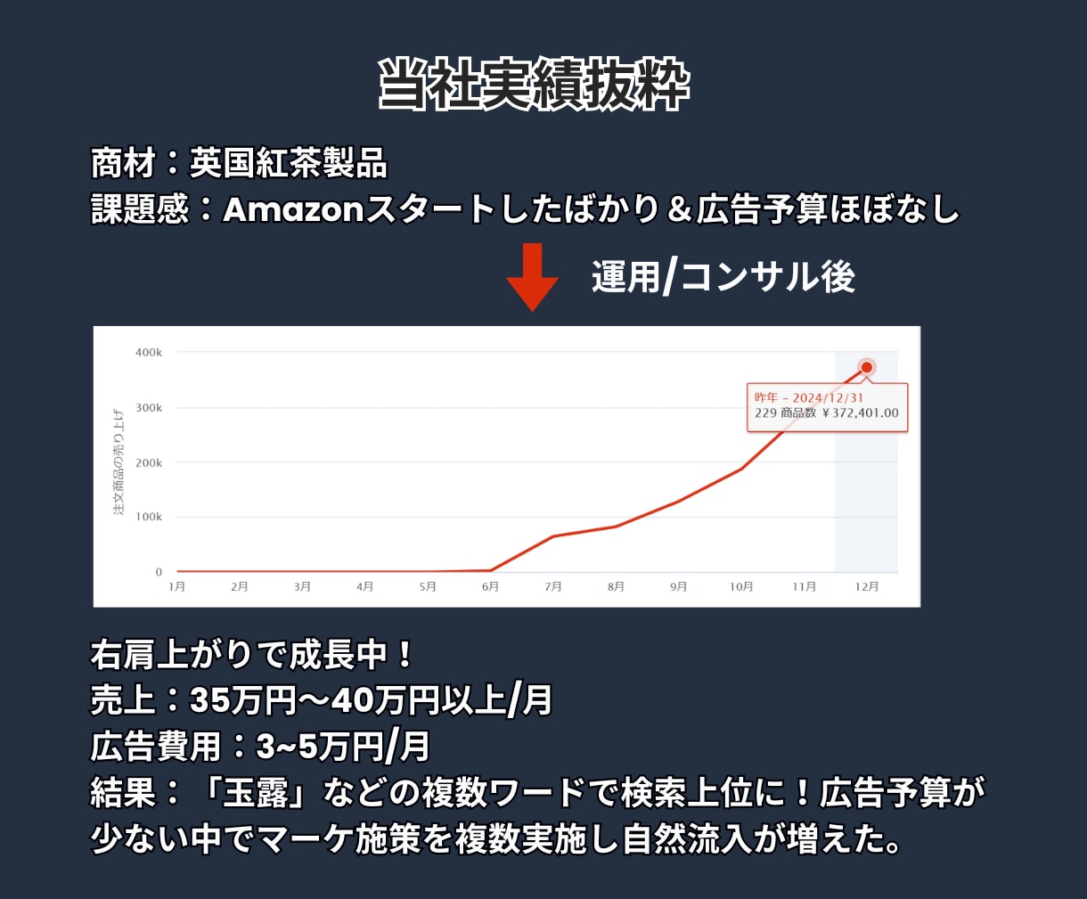 Amazonの売上向上を１か月ご支援します 【お試し価格】元Amazon社員が徹底サポートいたします イメージ3