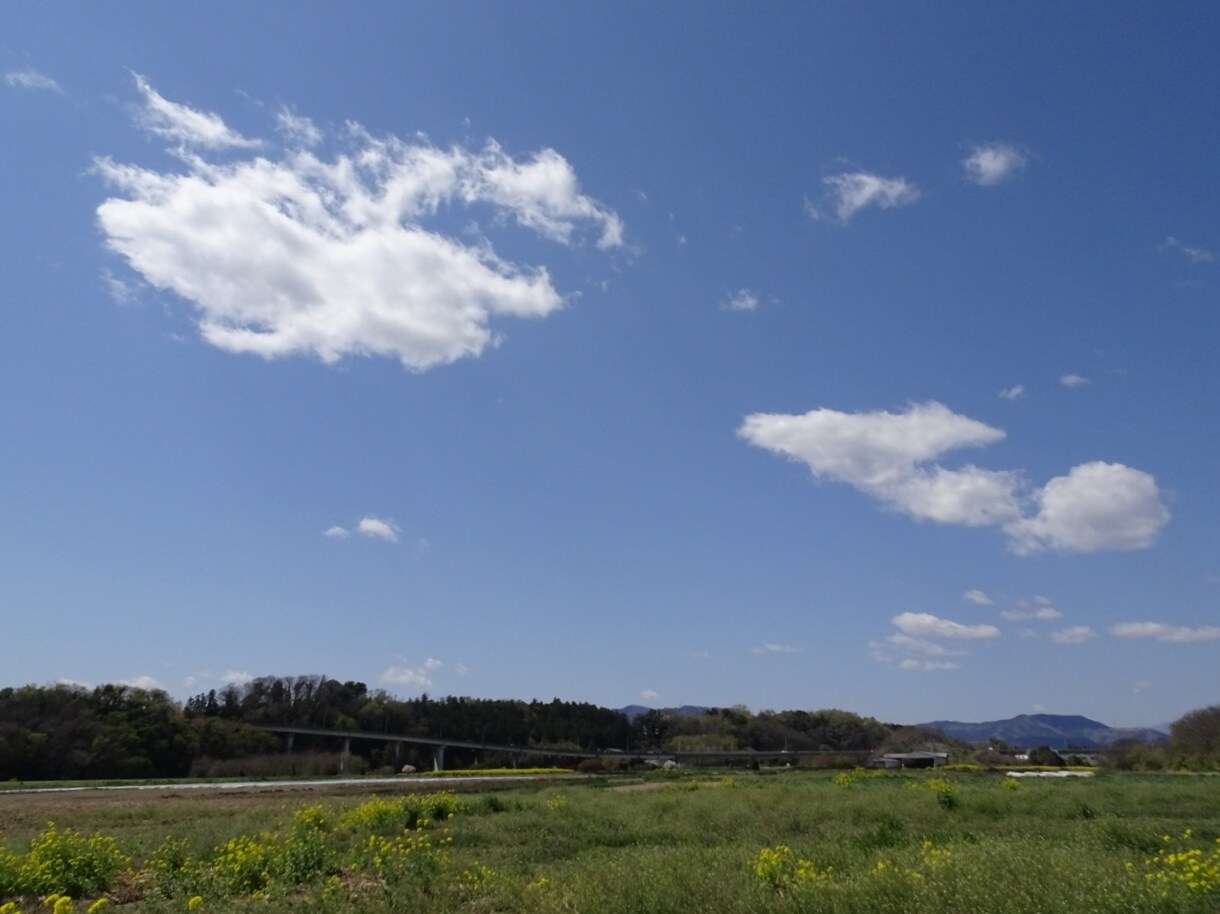 あなたの『生き方』を数秘術で見ます 人とうまくいかない、自分がよくわからない……大丈夫です。 イメージ1