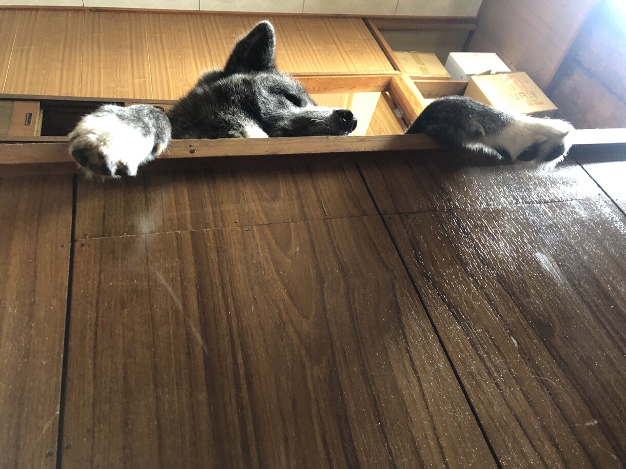 名古屋市→田舎の山奥へ引越した中卒社長が提案します あなたの仕事、お金稼ぎ、恋愛、趣味を考慮したネオライフスタイ イメージ3