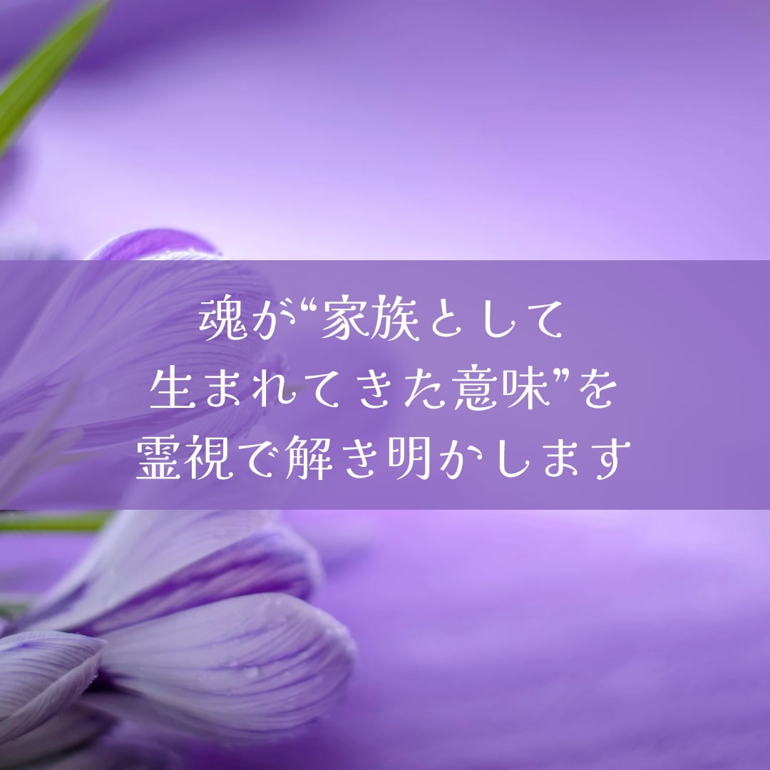 家族の縁・因縁読み解き霊視します 血縁のしがらみを癒し、家族の真実と魂のつながりを知る イメージ3