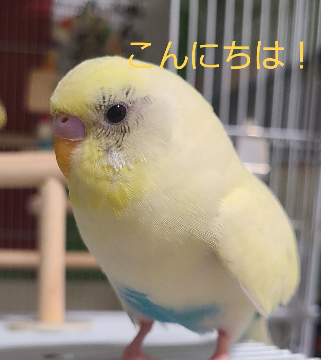 トークルームであなたの悩みや愚痴など聞きます 電話が苦手な方におすすめです。愚痴やお悩み、雑談しましょ！ イメージ2