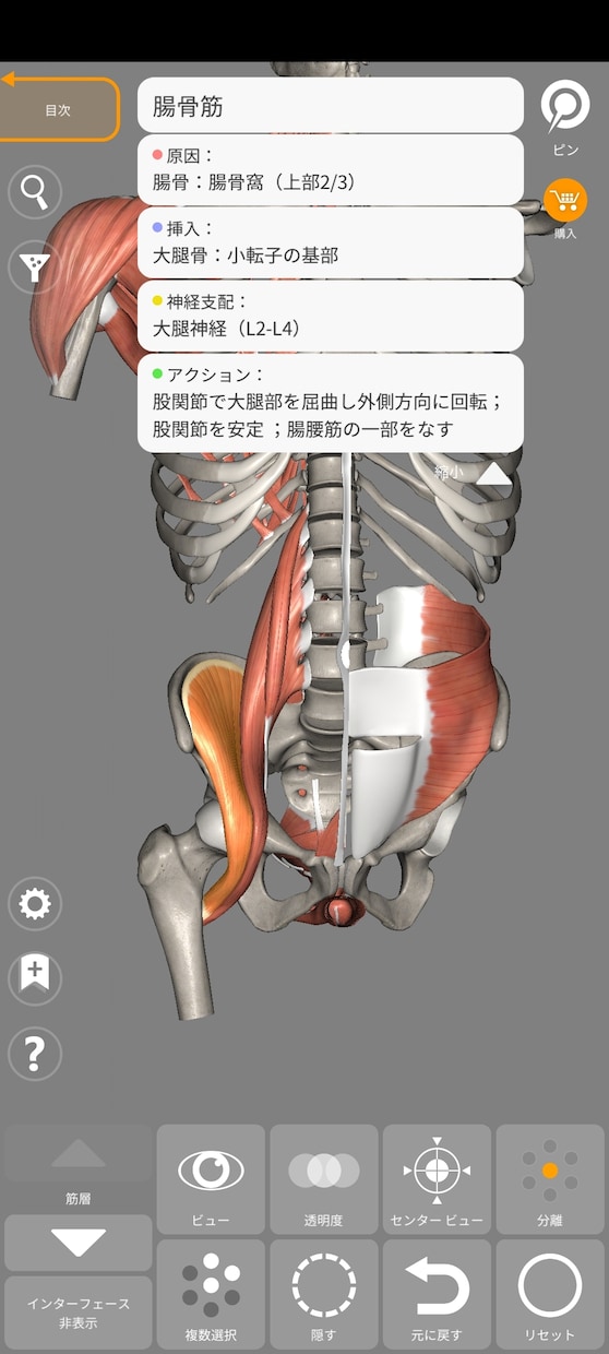 治療家×保育士がお悩みに合ったセルフケアを教えます 肩凝り腰痛などのツボ押しやマッサージ、スポーツ、健康増進など イメージ1