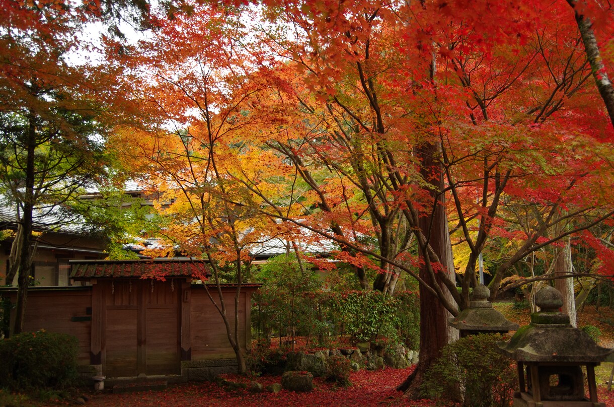 京都旅行の行程表を元プロガイドが作ります 今回の京都旅行はいつもとは違う特別な旅になる！ イメージ5
