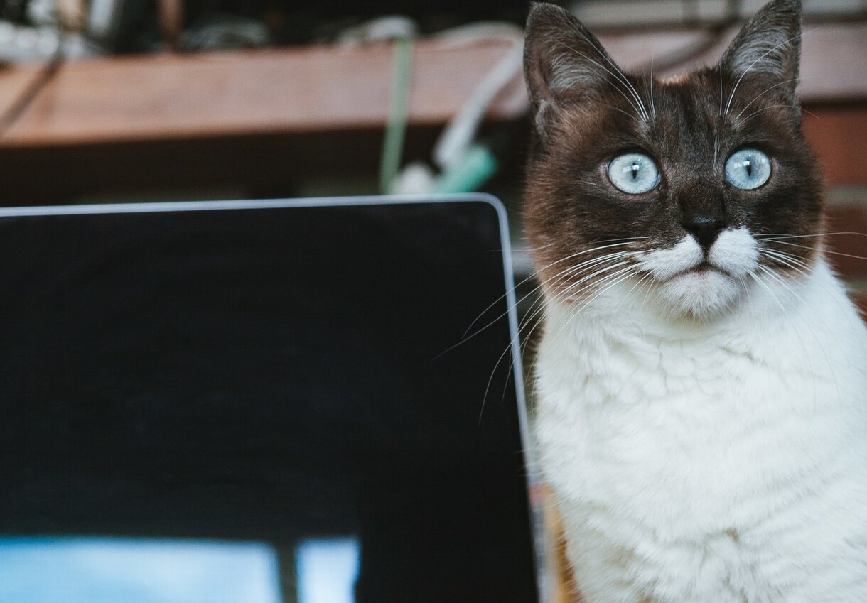 JSTQB認定技術者がユーザテストを実施します ユーザ目線で改善要望などをフィードバックします イメージ1