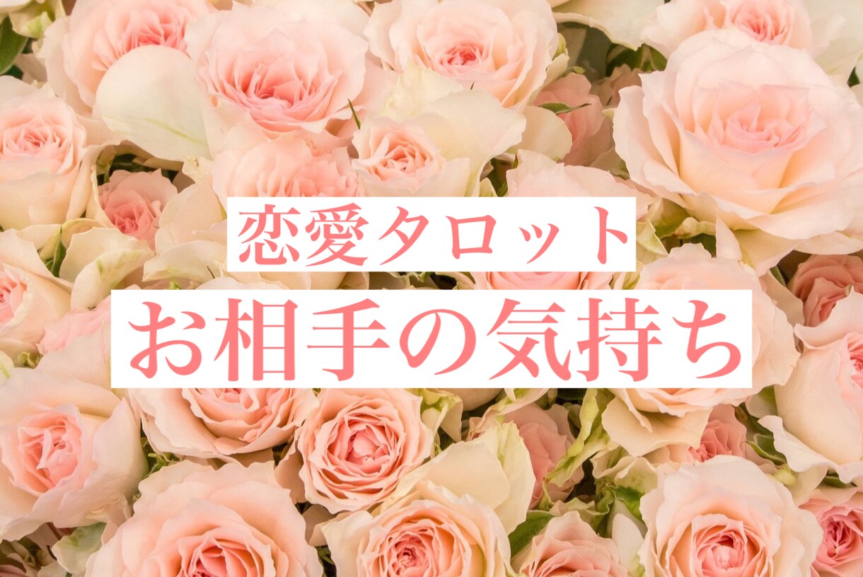 恋愛タロット♡お相手の本音と未来を占います 最短30分♡【カード開示、写真付】心に寄り添いお伝えします。 イメージ1