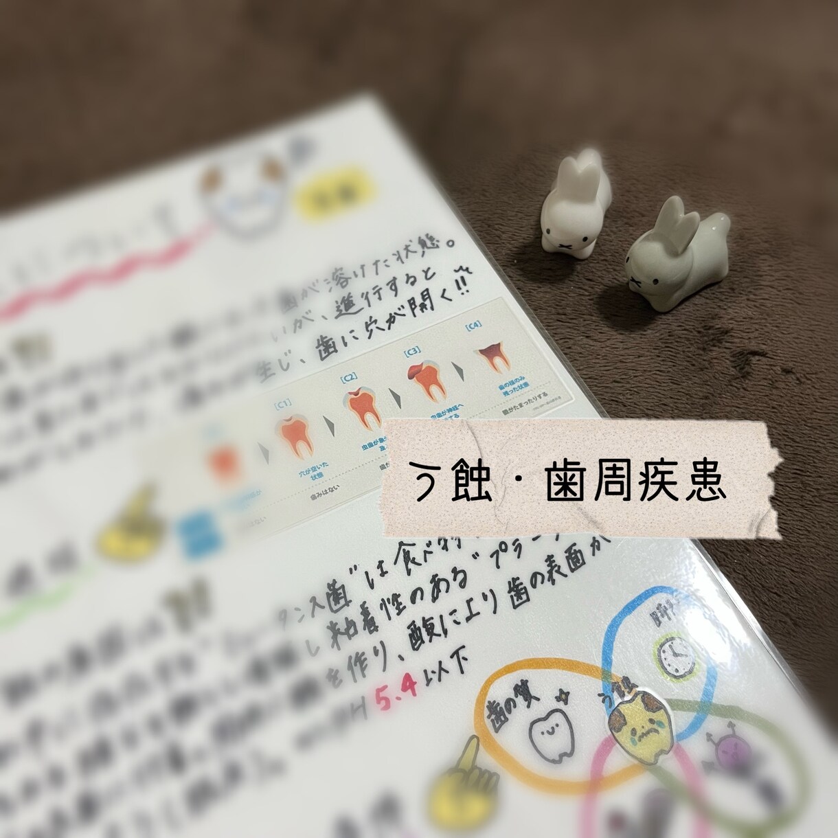 歯科衛生士の保健指導用媒体を販売します 印刷すればそのまま活用できます！ イメージ2