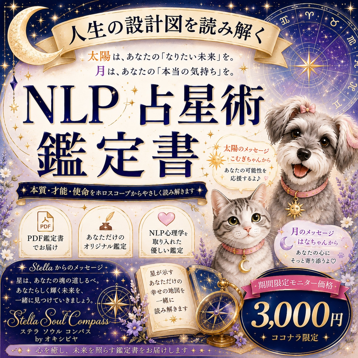 人生の設計図を読み解くNLP心理占星術を届けます 星が示す人生のテーマを読み解き、あなたらしい一歩へ導きます。 イメージ1