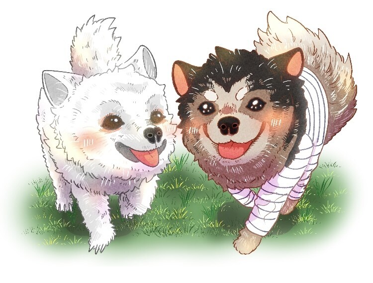 思い出に!可愛くポップにペットの似顔絵描きます 飼い主も追加でイラスト可能!ペットと一緒にいかがですか? イメージ3