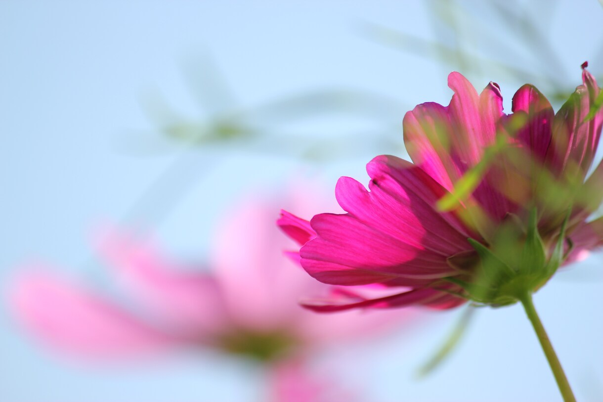 写真提供します 自分が撮影した写真をお安く提供します。 イメージ3
