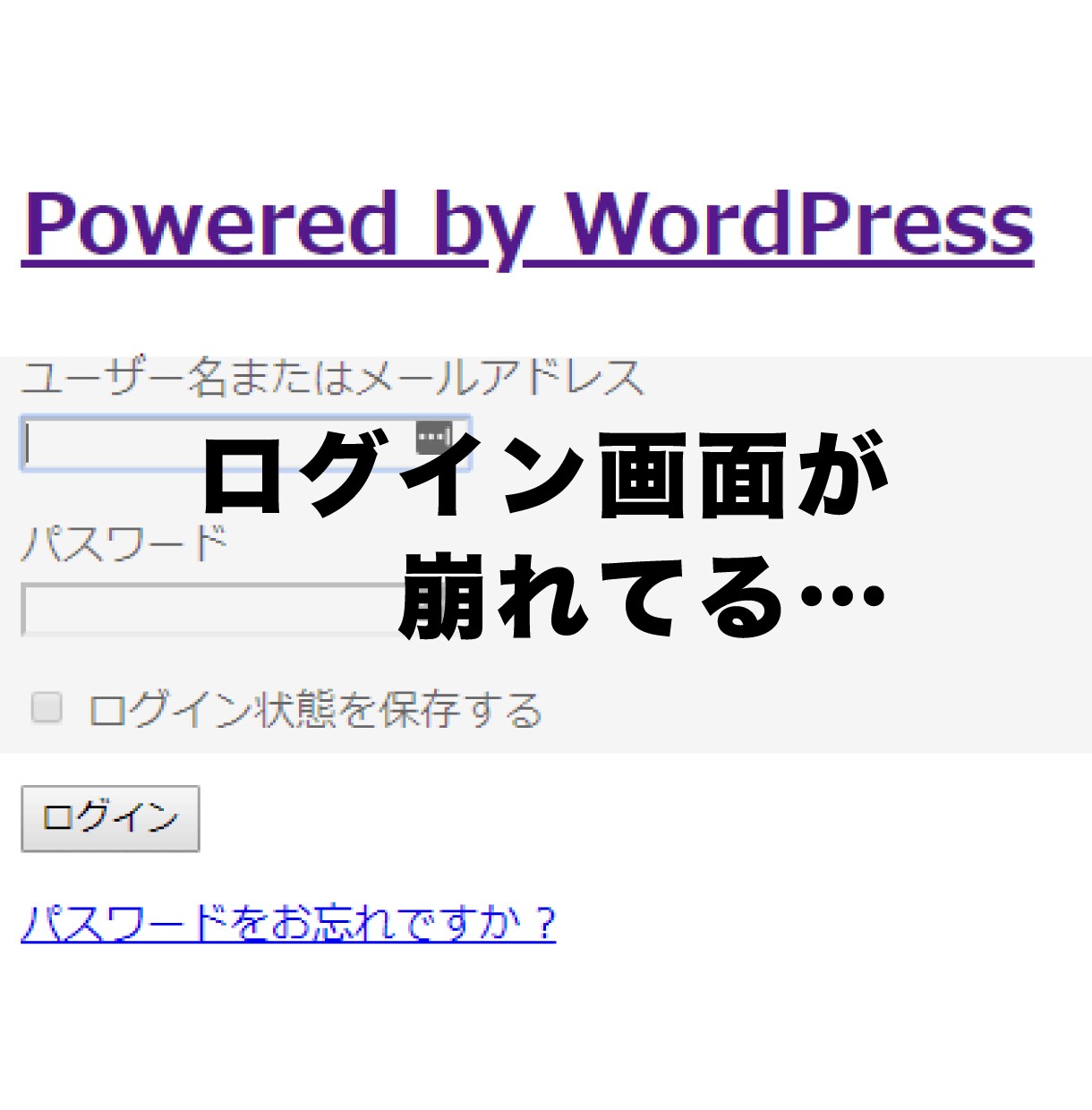 ワードプレスログインのエラー不具合を速く修正します オプション無料！最短10分~エラー修正！必要な作業は一切なし イメージ5