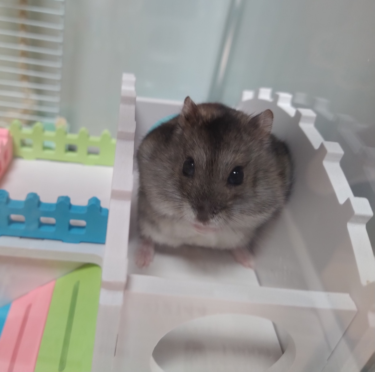 雑談おしゃべり気軽にします 雑談おしゃべり自由にお話しましょう♪ イメージ1
