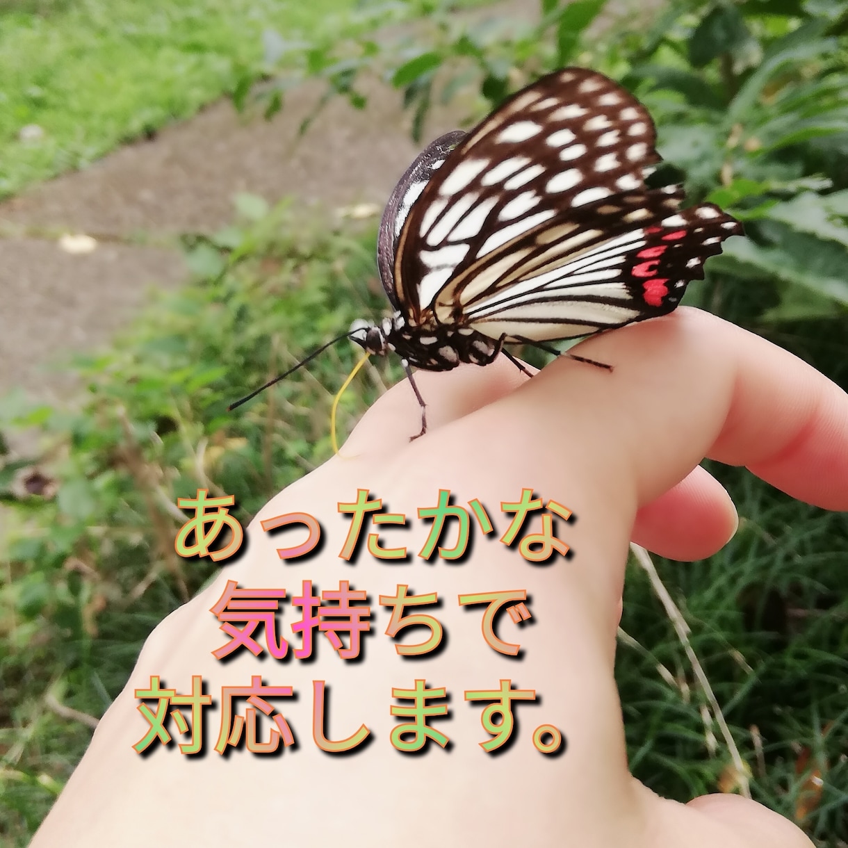 赦せない、その気持ちが自分を縛ってます 赦せない事、それは相手より自分を傷つけている イメージ9