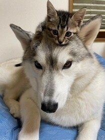 甘えてみてください あなたに寄り添います どんな事でも大丈夫ですよ♩ 疲れてるあなたに癒やしを… イメージ2