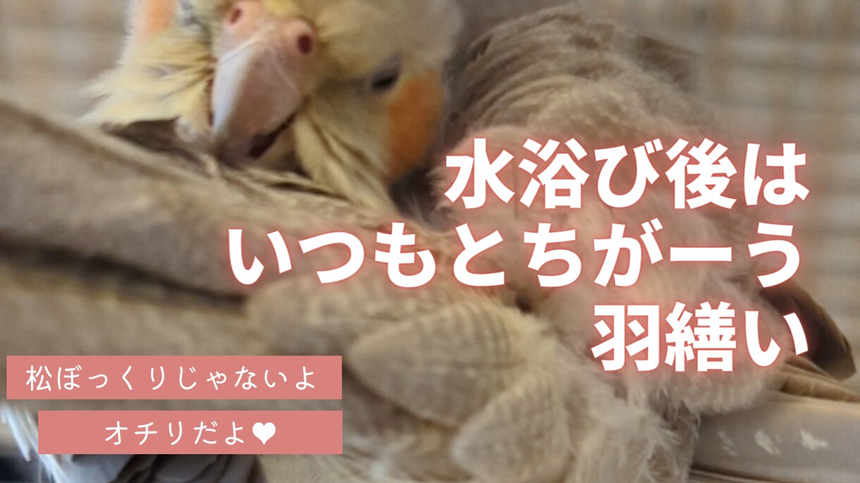 サムネイル１枚と挿入画像４枚納品します ブログで使う一式を格安で制作します！ イメージ4