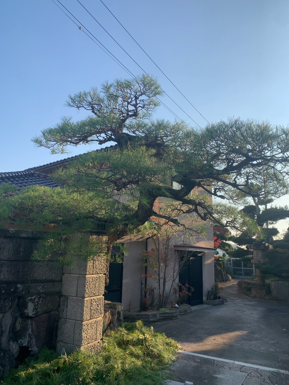 空き家の庭掃除！除草、庭木の剪定します 実家が！転勤で持ち家が！苦情が！を解決します。 イメージ10