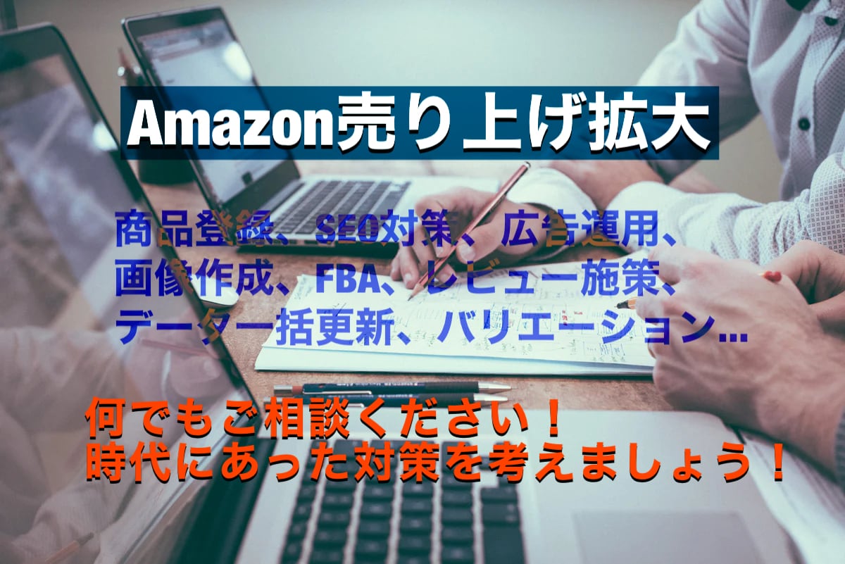 Amazonでの販売全面アドバイスします webコンサルが売上拡大のお手伝いをします！デザインも可能！ イメージ1