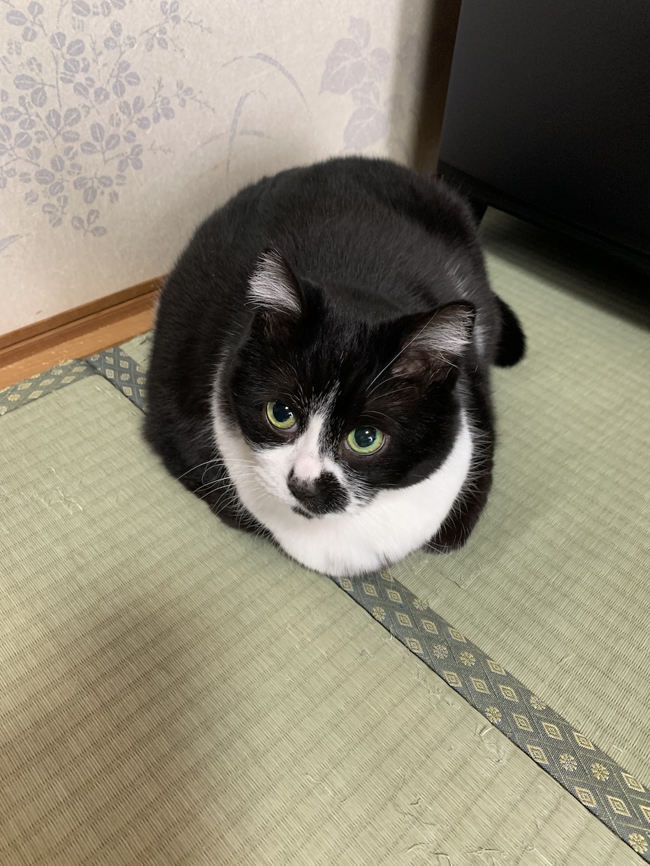 あなたの話を聞きます おしゃべりしながら、スッキリしよう! イメージ1