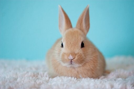 本当の【あなたがするべきこと】教えます カバラ数秘術で「本当の自分」「現世での使命」知ってみませんか イメージ2