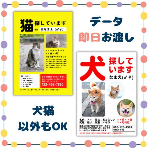 迷子の犬・猫・鳥などのチラシを作成いたします ◆ 早く・安く！ご対応いたします ◆ イメージ1