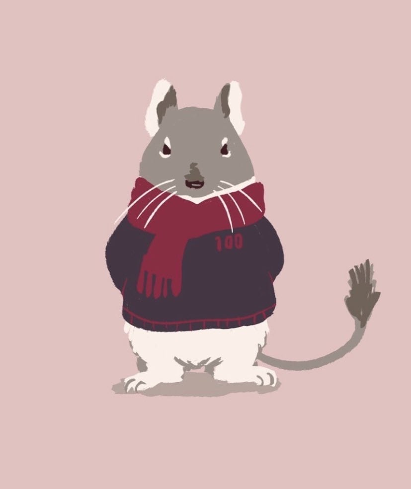 コーデ付きペット似顔絵を描きます 絵本のような絵柄でおうちの子をキャラクターに描きあげます！ イメージ1