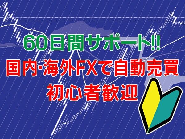 国内・海外FX自動売買初心者に基礎から教えます FX・海外FXや自動売買で副収入を得たい方におすすめ イメージ2