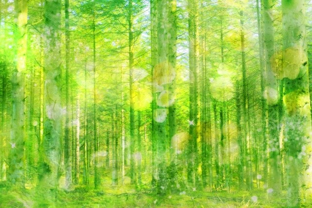 心を和らげ整える【遠隔ヒーリング】をお届けします 内側のエネルギーを整え【本来のあなた】へ イメージ2