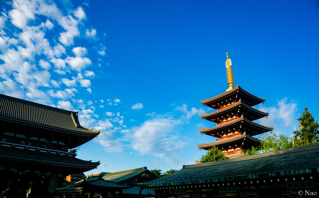 東京23区内の観光スポットの写真を撮影代行します 風景、建物、食べ物など｜商用利用可・RAW現像サービス付 イメージ2