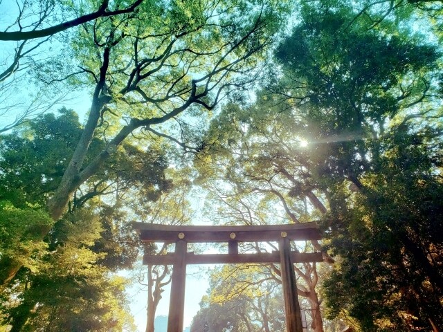 一生変わらない強みや本質を四柱推命にて鑑定します 生まれたときの設定を、人間関係・仕事・恋愛に活かしましょう イメージ3