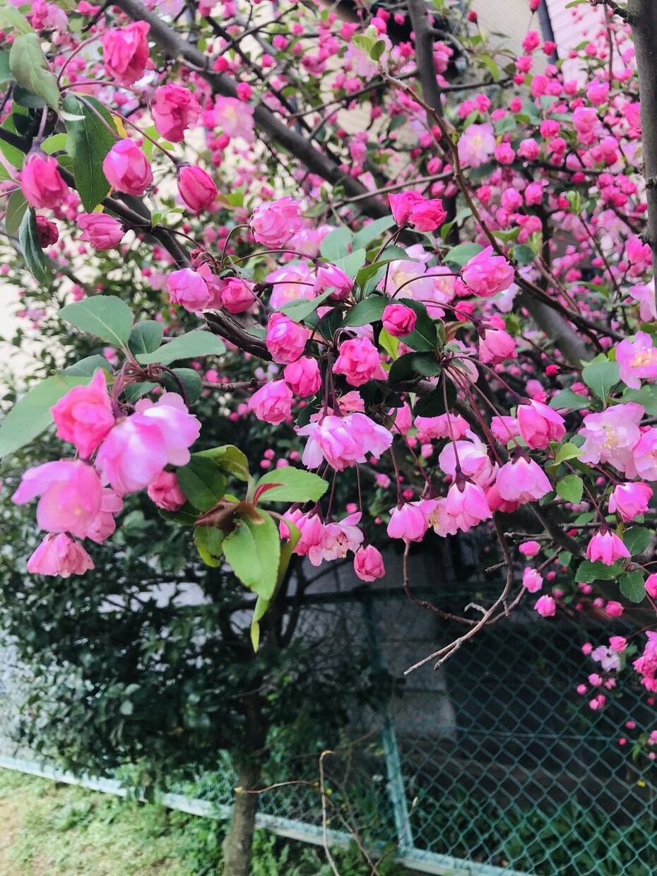 ちょっとしたお話や悩みも聞きます どんなことでも気軽に話してください☺︎ イメージ1