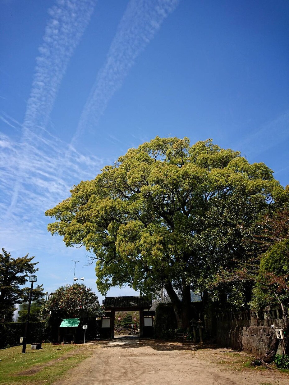 相手の気持ちを視ます 本質から考え直したい方へ★気持ち、未来、アドバイス イメージ1