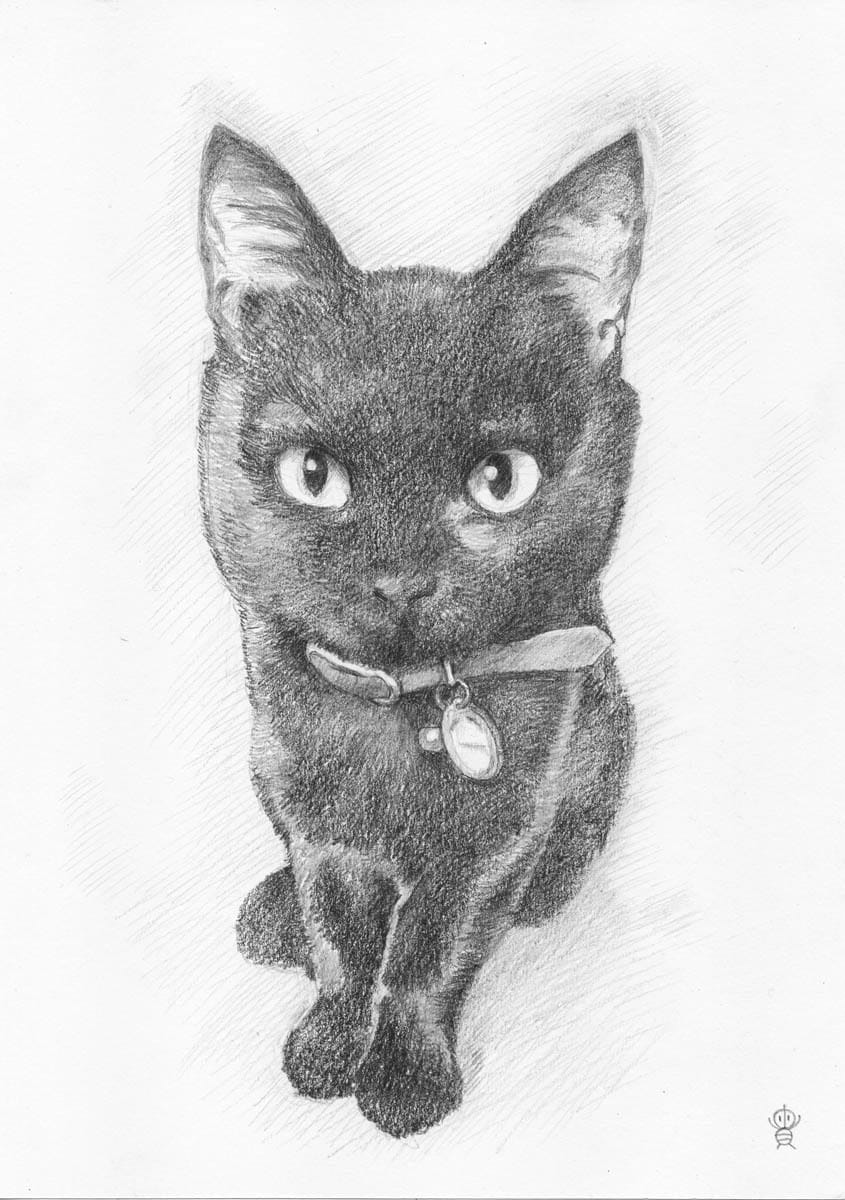 ペット・動物似顔絵お描きします 可愛いペット・動物を鉛筆／色鉛筆でスケッチ風、写実系似顔絵に イメージ7