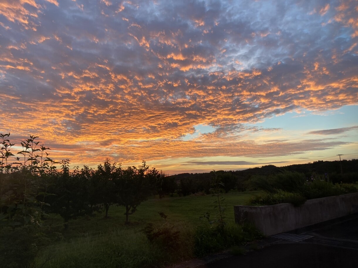 写真素材を提供します プロが撮影した綺麗な風景写真セット イメージ4