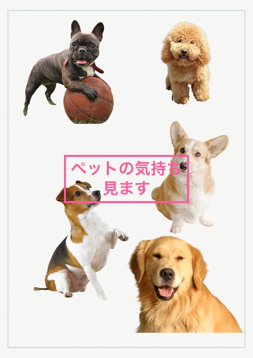 アニマルコミニケーションでペットちゃんの声届けます ペットの声と遠隔でペットちゃんに5分間ヒーリング流します！！ イメージ1
