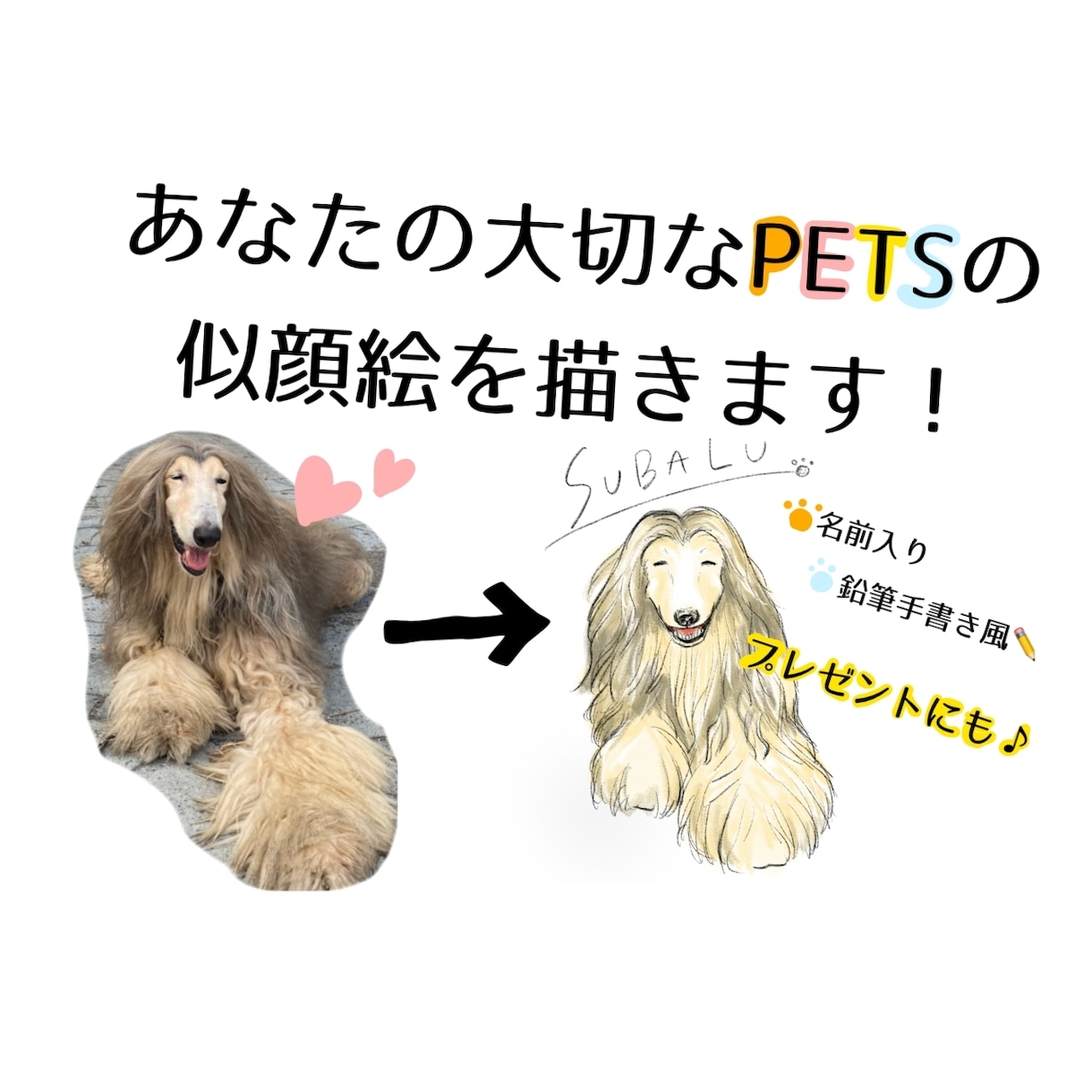 あなたの大切なペットの似顔絵を描きます ペットの可愛いを絵で残してみませんか？プレゼントにも♪ イメージ1