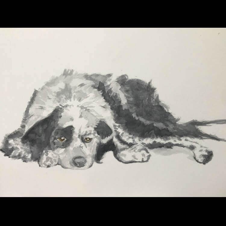 おんリスナー限定！アイコン・動物のイラスト描きます ペットのイラスト(犬猫以外も)イラスト作成します！背景は単色 イメージ6
