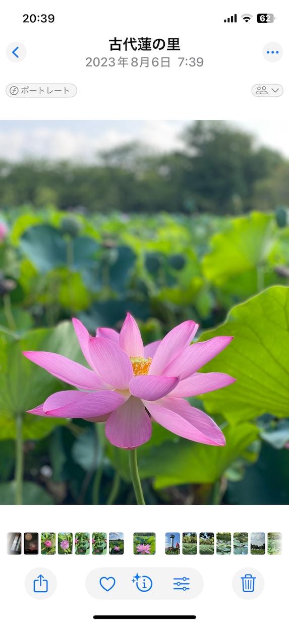 算命学で人生の生き方お伝えいたします 命式で、自分を知って自分を整えましょう！ イメージ1