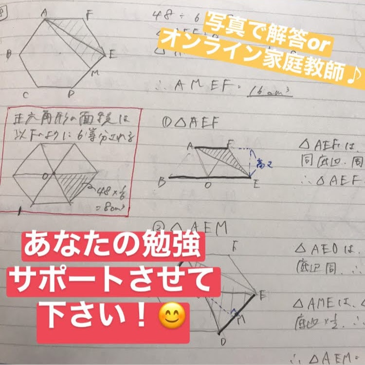 1枚250円～！チャット形式で小中学の勉強教えます 写真解答サービス/最短1時間以内/図式で解説/九大卒講師 イメージ3