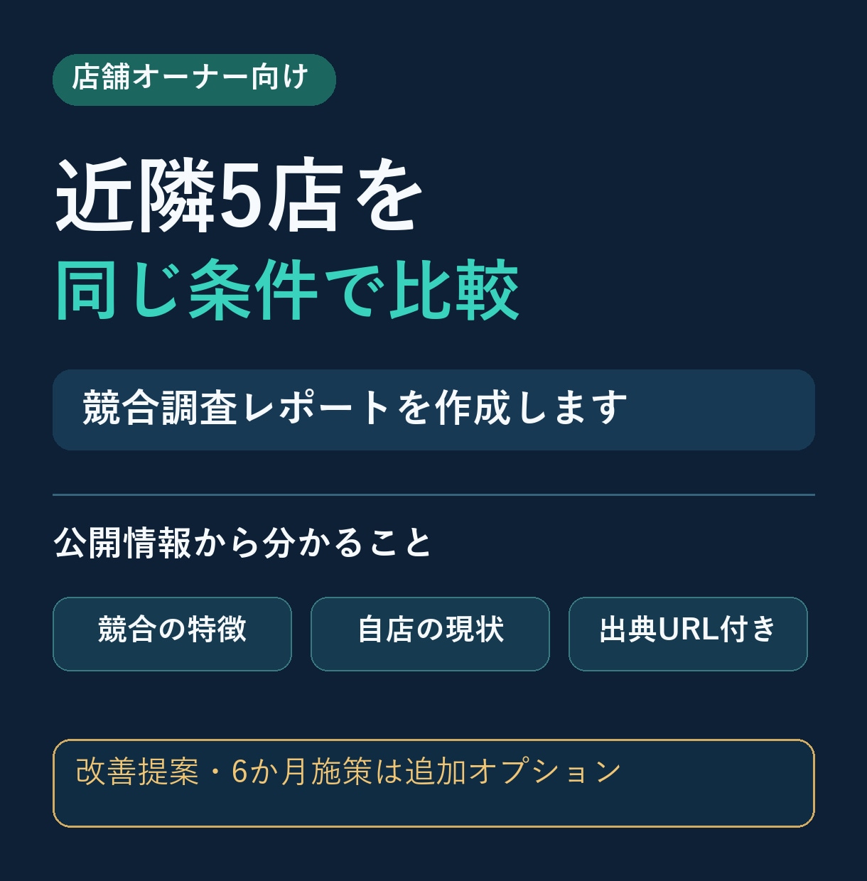 近隣5店の競合調査レポートを作成します 公開情報を比較し、自店の強みと現状を整理 イメージ1