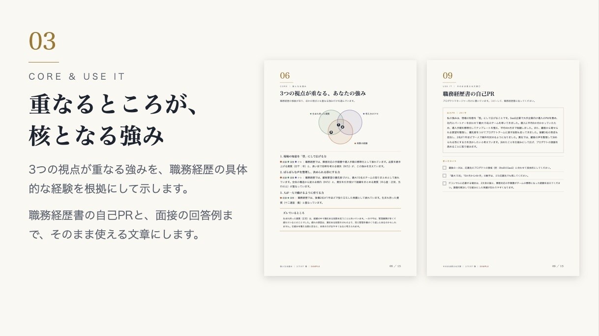 職務経歴×四柱推命×MBTIで強みを可視化します ストレングス・インサイト｜3つの視点で可視化するあなたの強み イメージ4