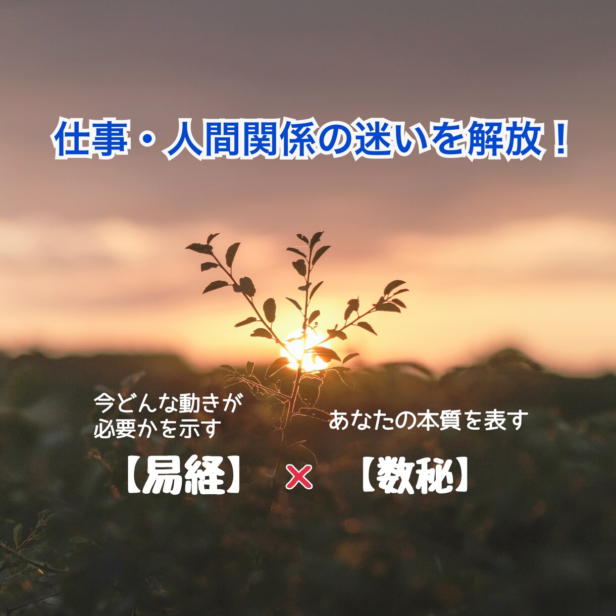 仕事・人間関係の迷いをほどきます 最適な動き方を示す【易経】×自己本質を表す【数秘】で鑑定！ イメージ1