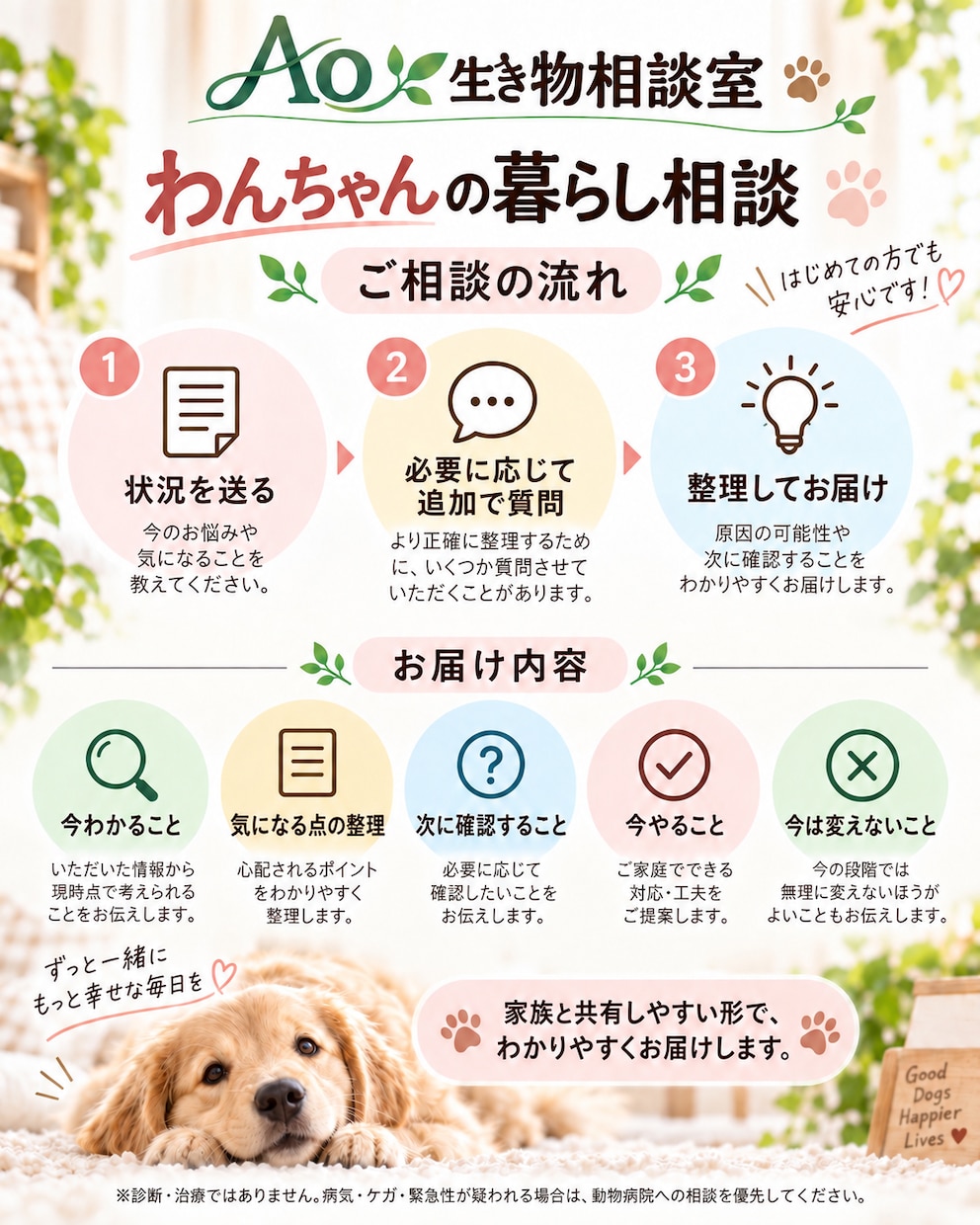 愛犬の困りごと・行動変化を一緒に整理します 1頭・1テーマ1,000円｜状況と確認事項を文章に イメージ3