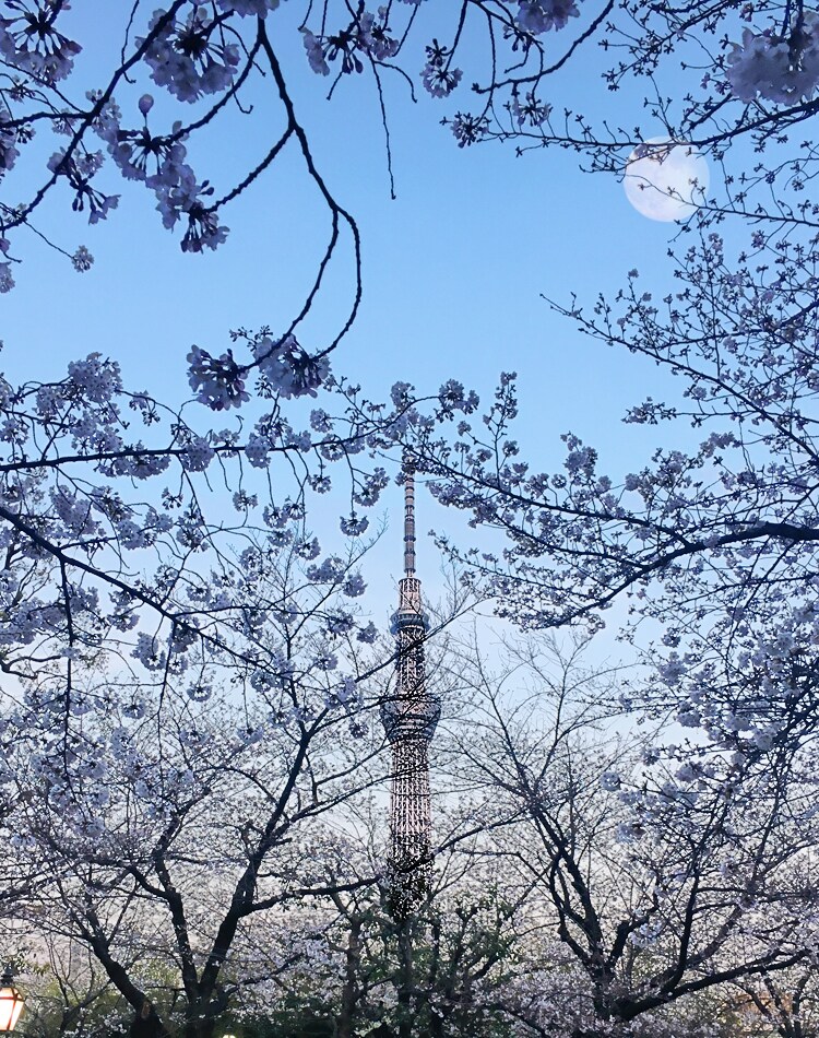 職人の技で写真を補正加工します 大切な一枚をもっと見栄えよく!プロの技で美しく蘇らせます。 イメージ4