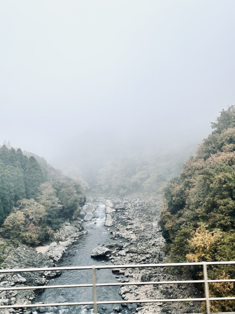 あなたの夢、鑑定します 夢は記憶整理の重要な装置。あなたに必要な情報をお渡しします。 イメージ7