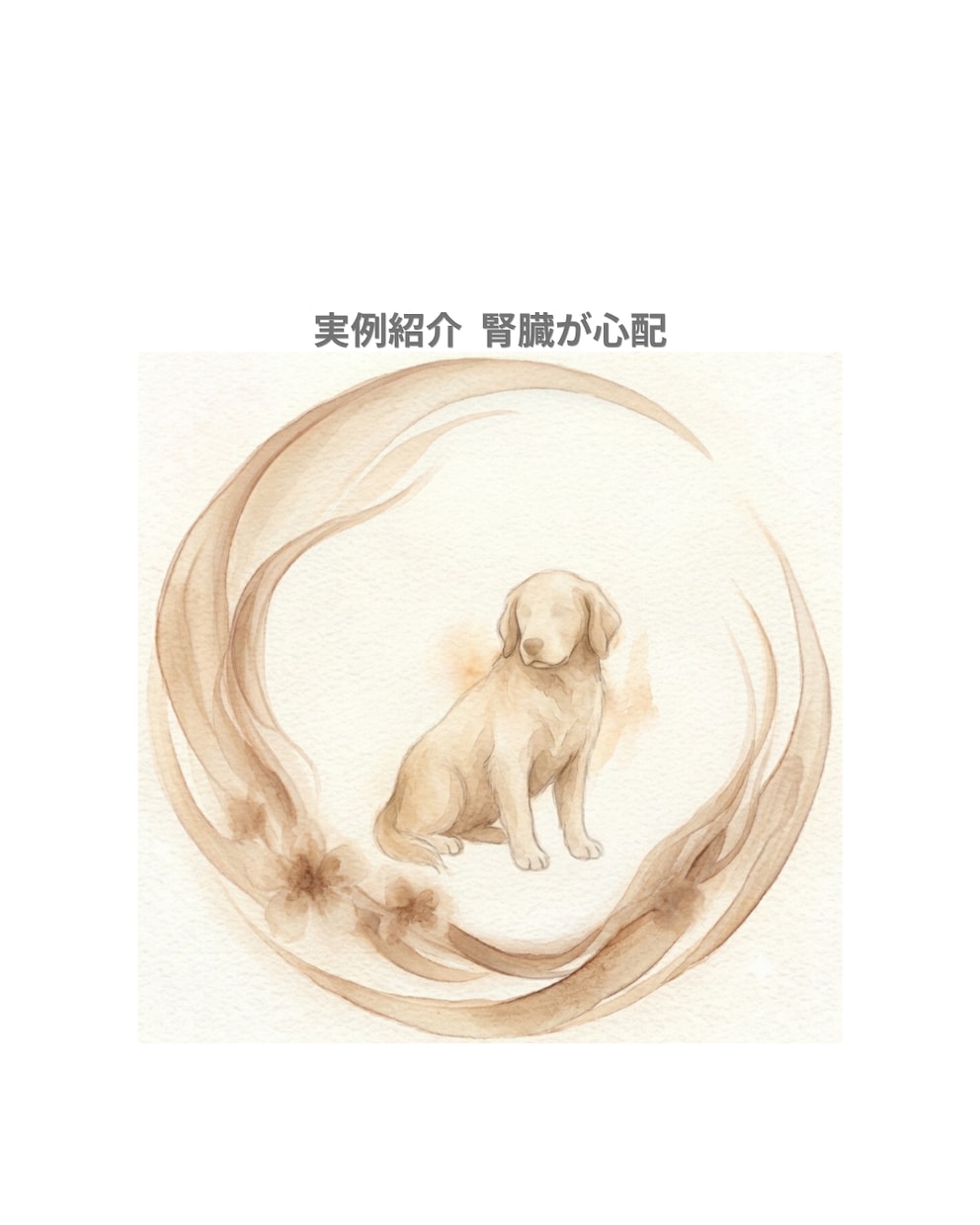 ペットの気持ちをアニマルコミュニケーションで視ます 限定特価中◆犬・猫・鳥・うさぎなどの動物を鑑定致します イメージ6